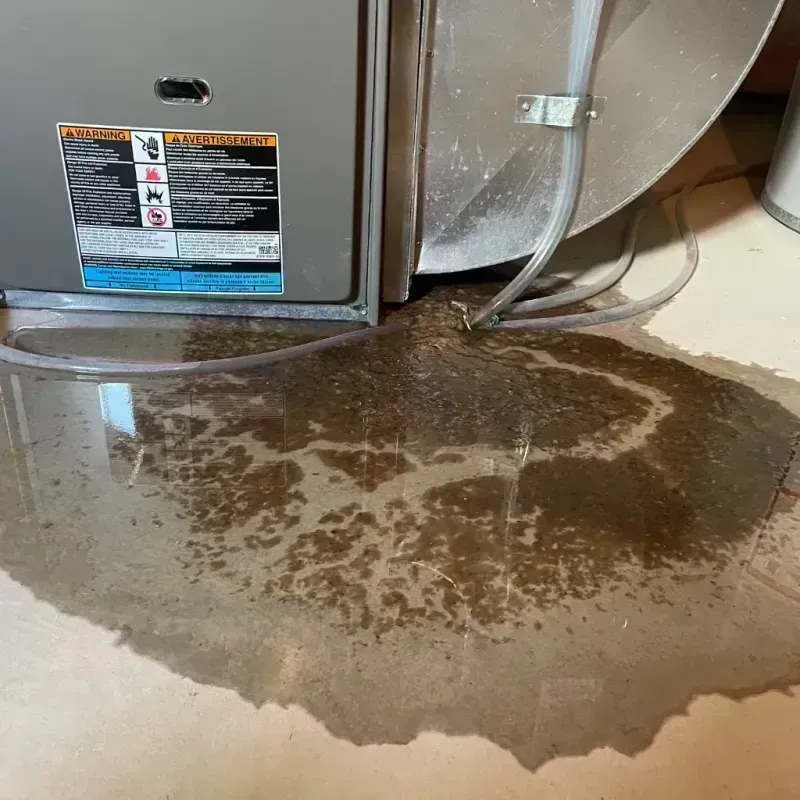 Appliance Leak Cleanup in Orofino, ID